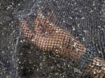 Yaghot - Image 9